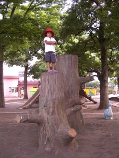 sinagawa kodomonomori 4