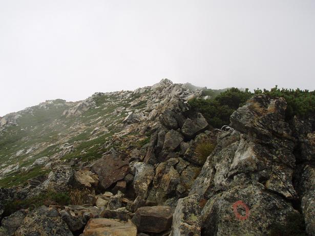 最後のピークか？