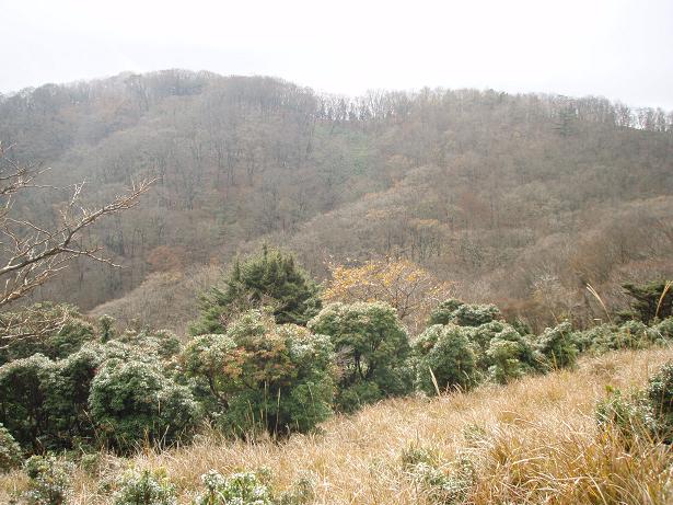 向こうの尾根の稜線