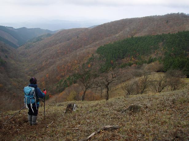 桃源郷か。。。