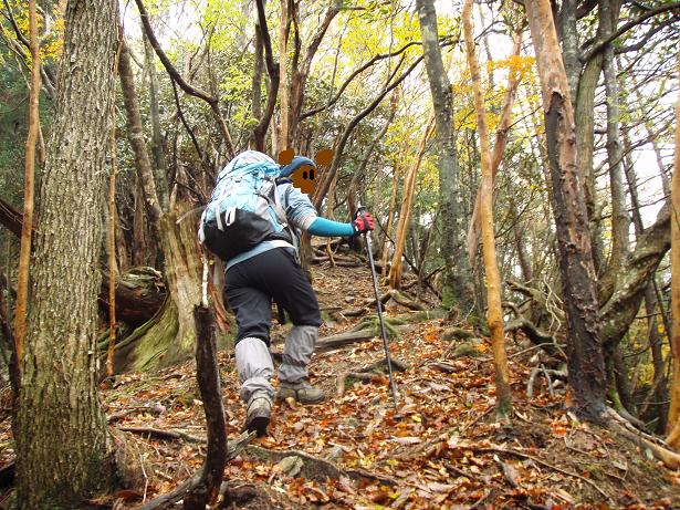 木梶山　最初の尾根登り