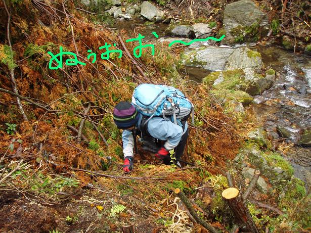 はげ山登り中～