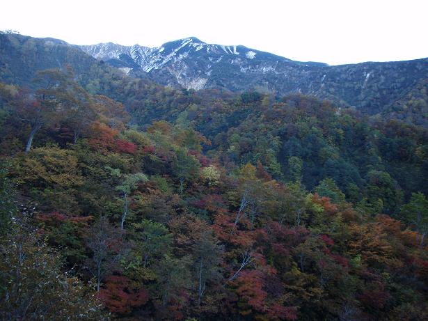 紅葉の中に別山