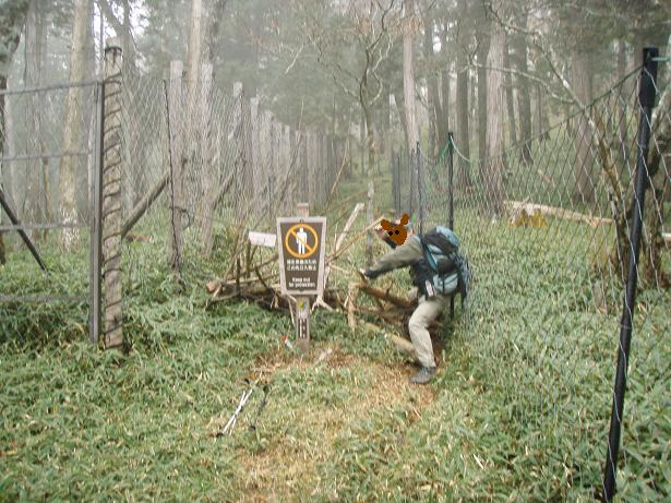名古屋岳登山道