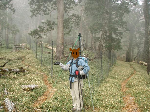 左が名古屋岳方面