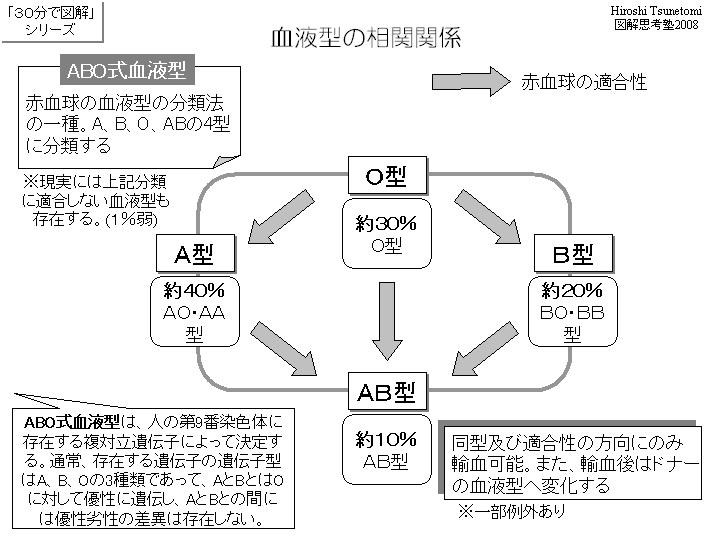 tsune2008-血液型01