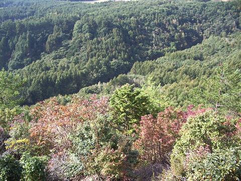 画像 014.jpg