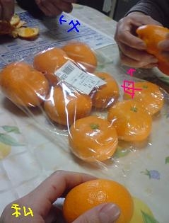 みんなでみかん