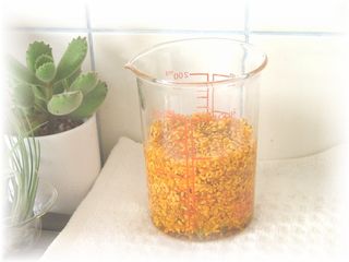DSCF3101.JPG