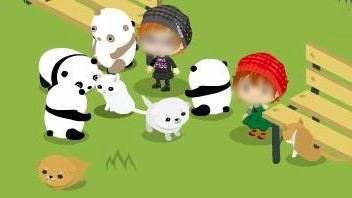 panda1.jpg