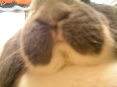 ジャスミン　１６８