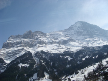 DSC00478.jpg