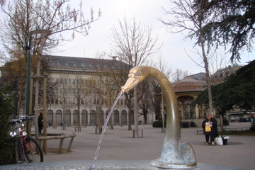 DSC00011.jpg
