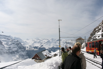 IMG_1295.jpg
