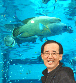 水族館１.gif