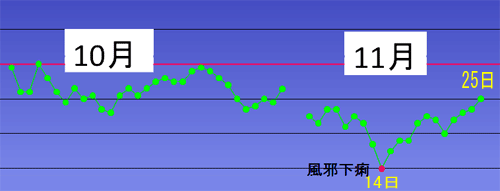 10日目.gif