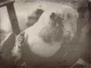oldphoto-1.jpg