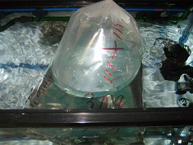 IMG_0381.JPG