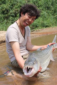 オッキー特大タイガーフィッシュ