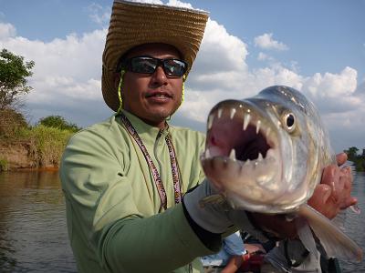 タイガーフイッシュ6ｌｂ