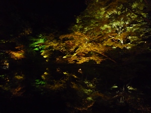 京都　高台寺