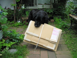 060728あたちが運びます！