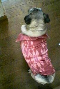 pink1
