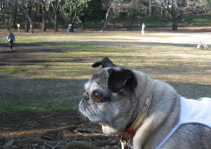 070128公園.jpg