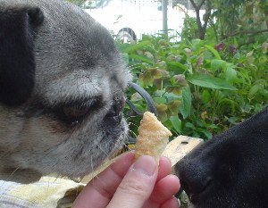 060423ヨダレ･･･