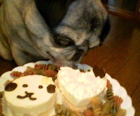 cake3