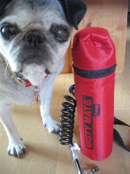 070825mistymate.jpg