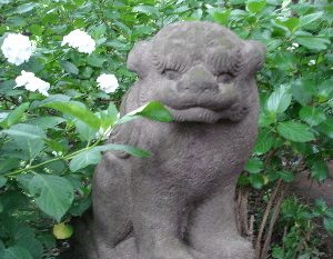 060622なつめ！？