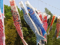 070504鯉幟.jpg