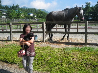 070820馬.jpg