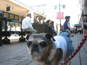 070127モール.jpg