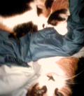 060121_043338.jpg