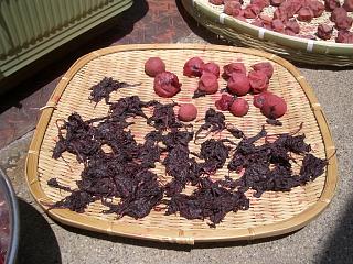 2005-07-28 15:13:18