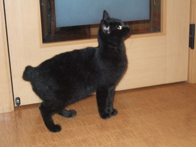 DSCF3389.jpg