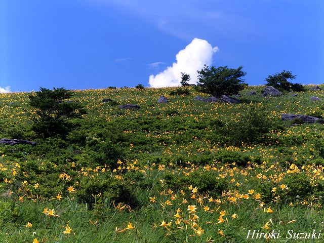 長野、霧ケ峰