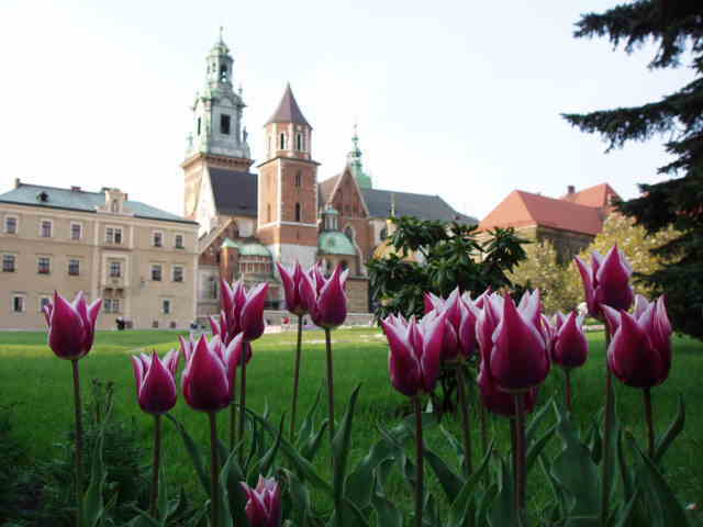 チューリップ城