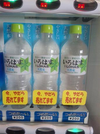 ML_SH380023.jpg