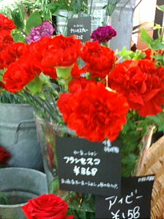 カーネーション