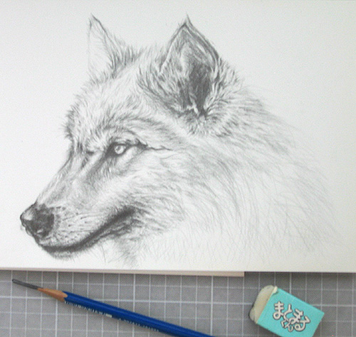 オオカミを描いてみる Dollparasol 楽天ブログ