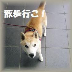 DSC09680.JPG