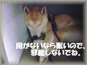 2010年07月13日_DSC09345.JPG