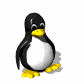 penguinn