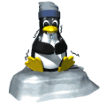 penguincold