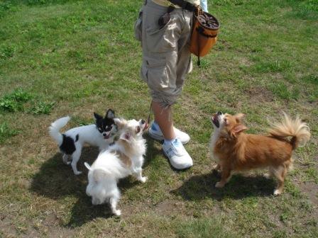 おやつくださいな