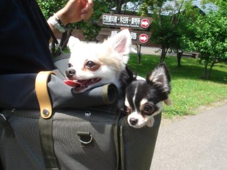 網走監獄博物館にて