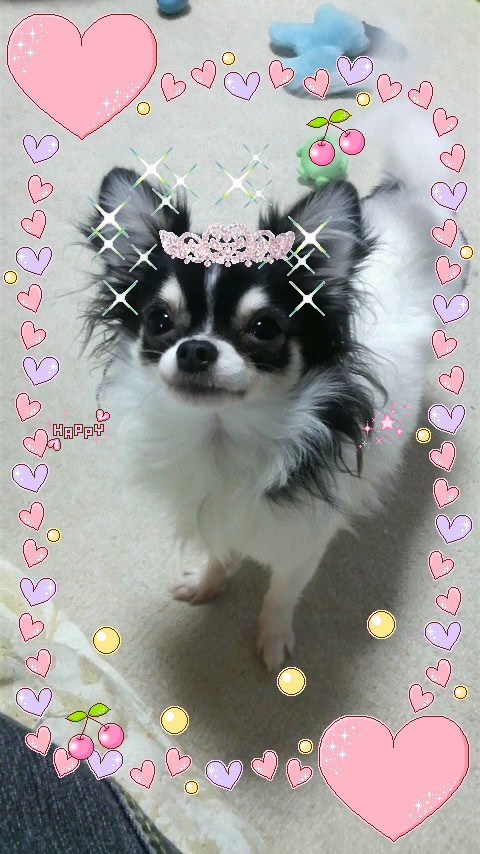 おひさでキュ－